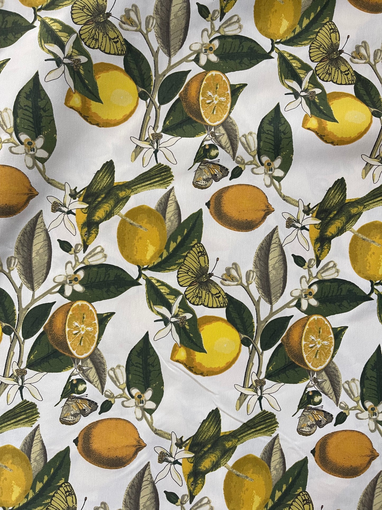 Interior fabric lemons