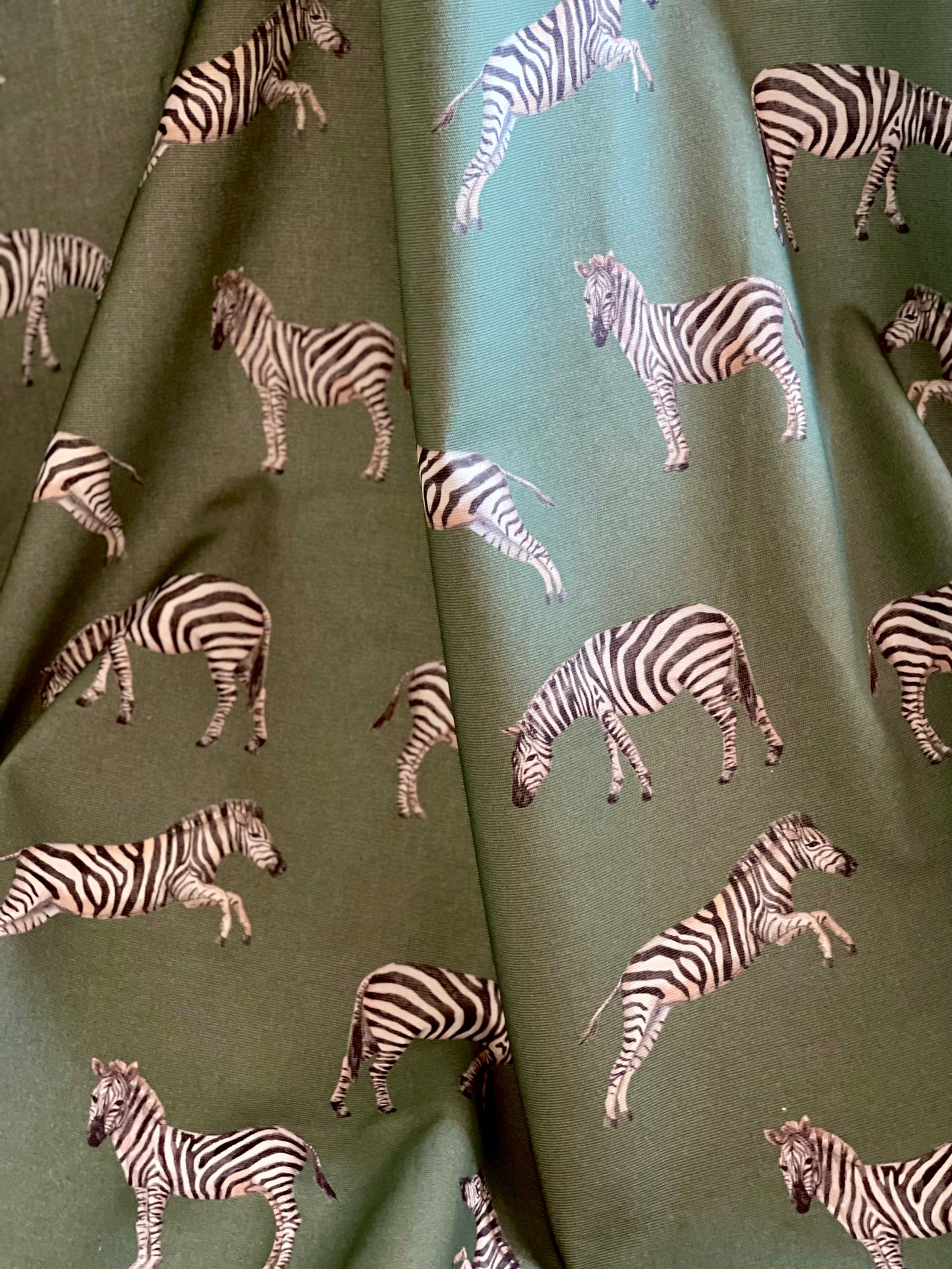 Interior fabric zebras