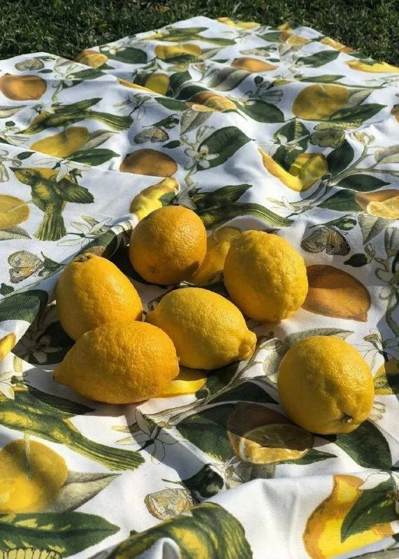 Interior fabric lemons