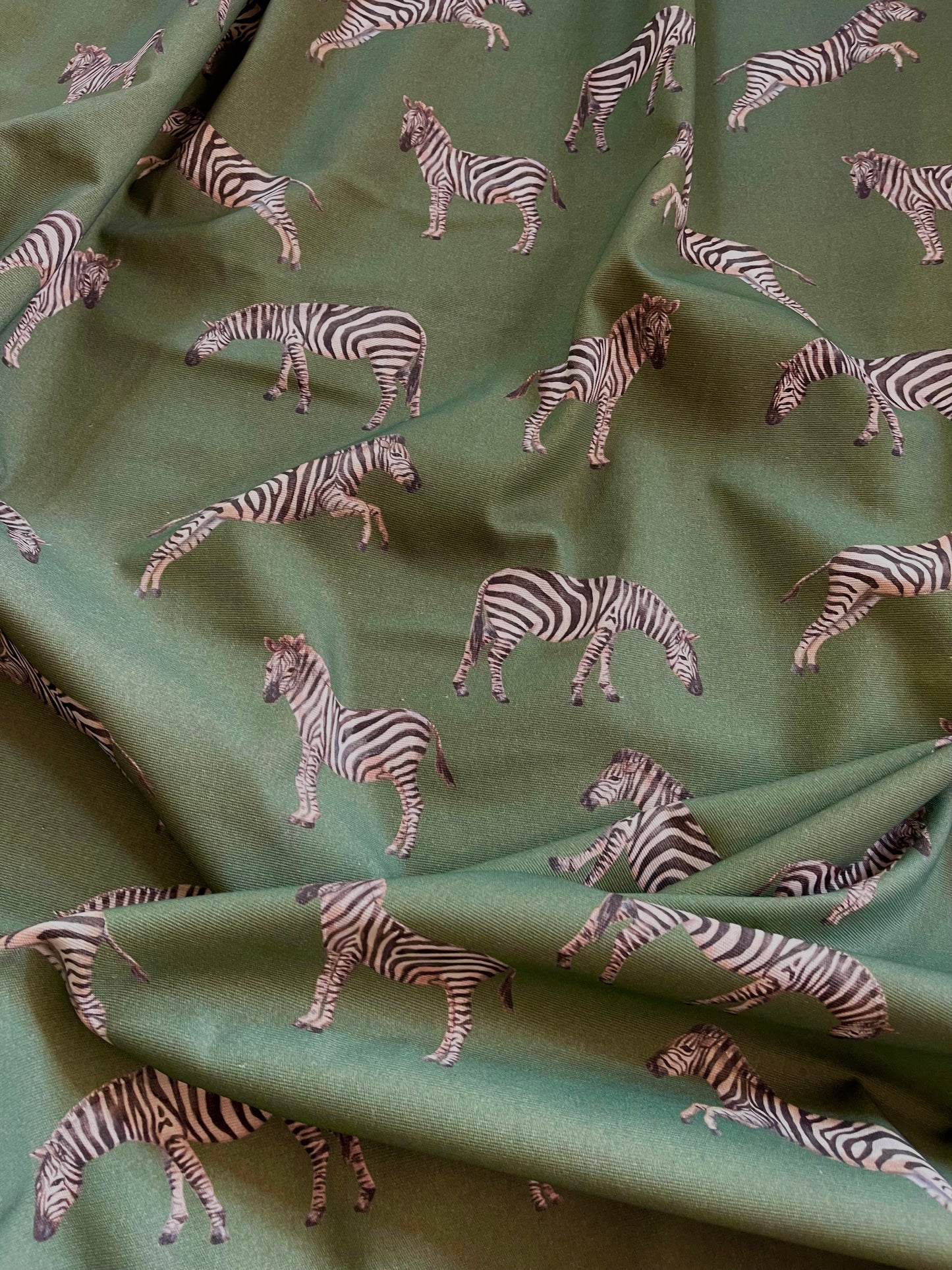 Interior fabric zebras