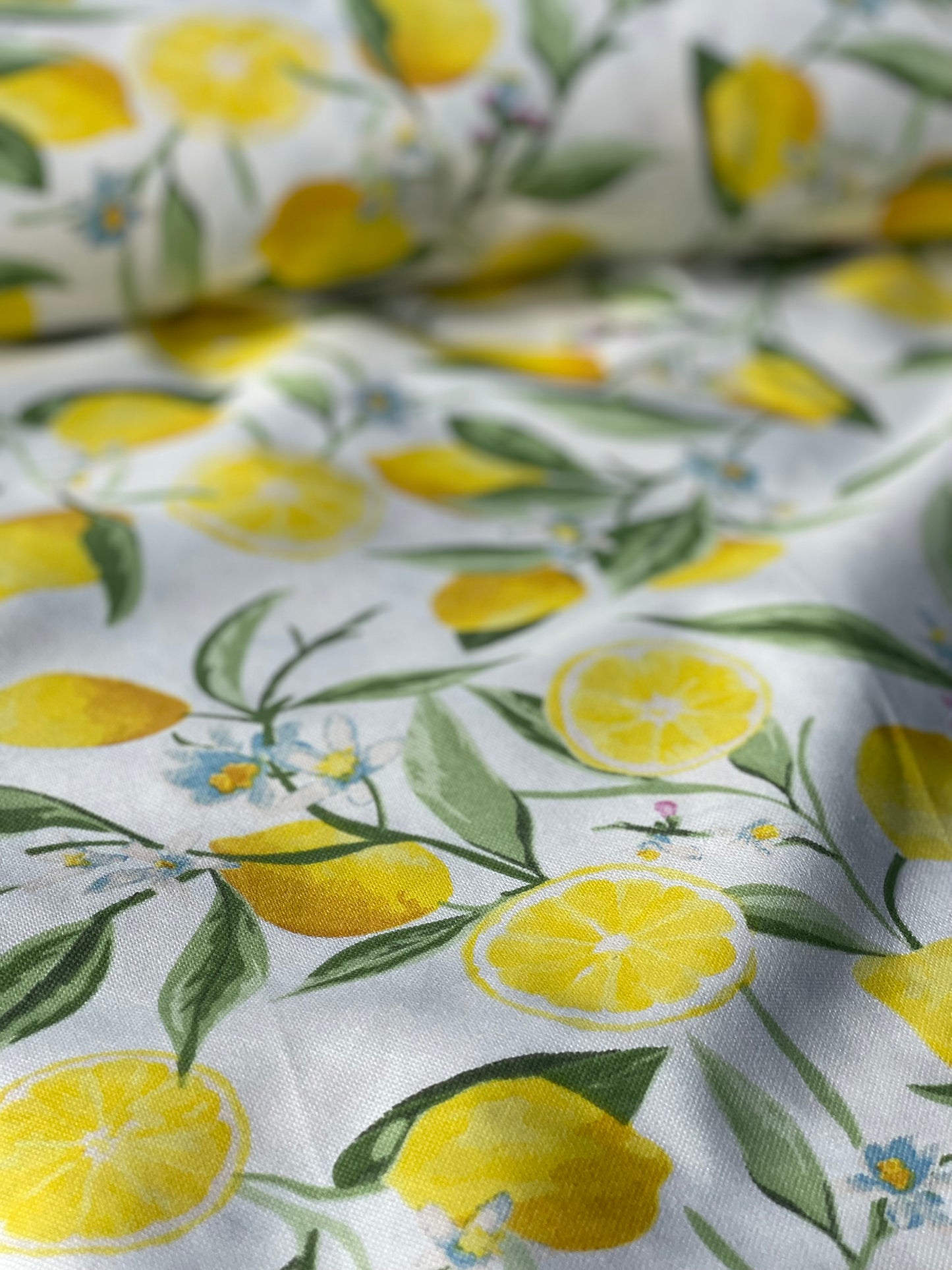 Interior fabric lemons and flowers