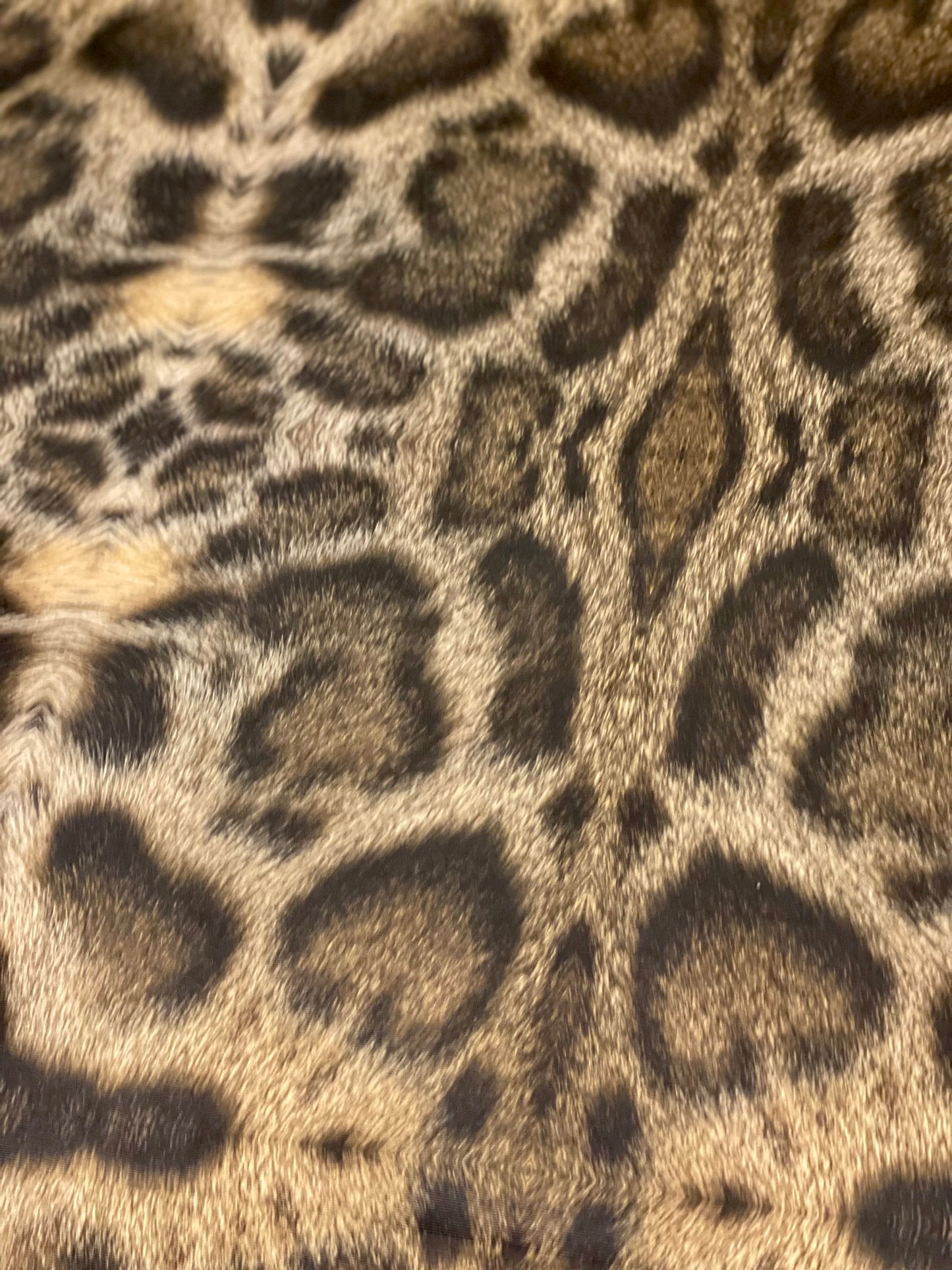 Leopard with leather effect