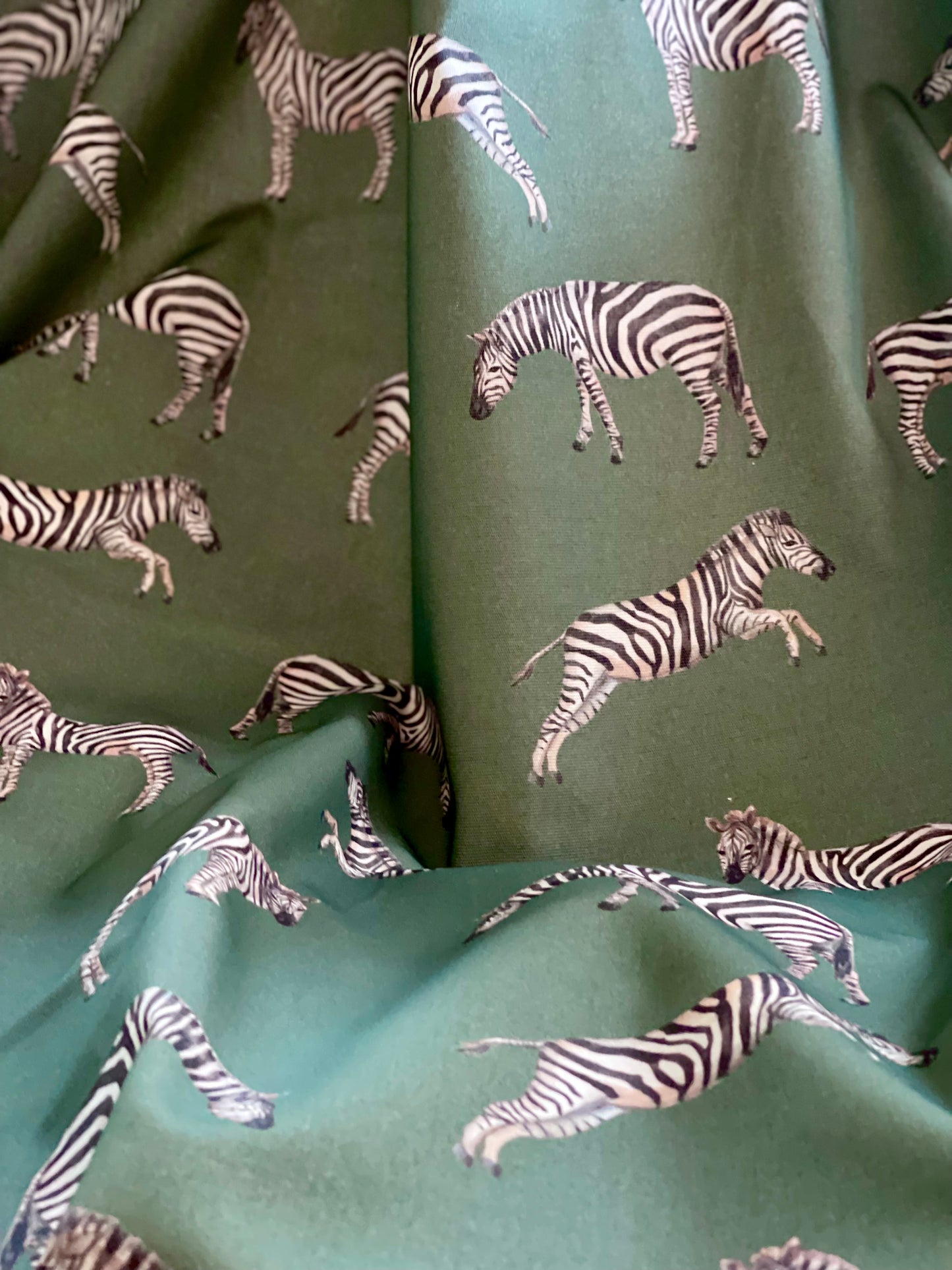 Interior fabric zebras