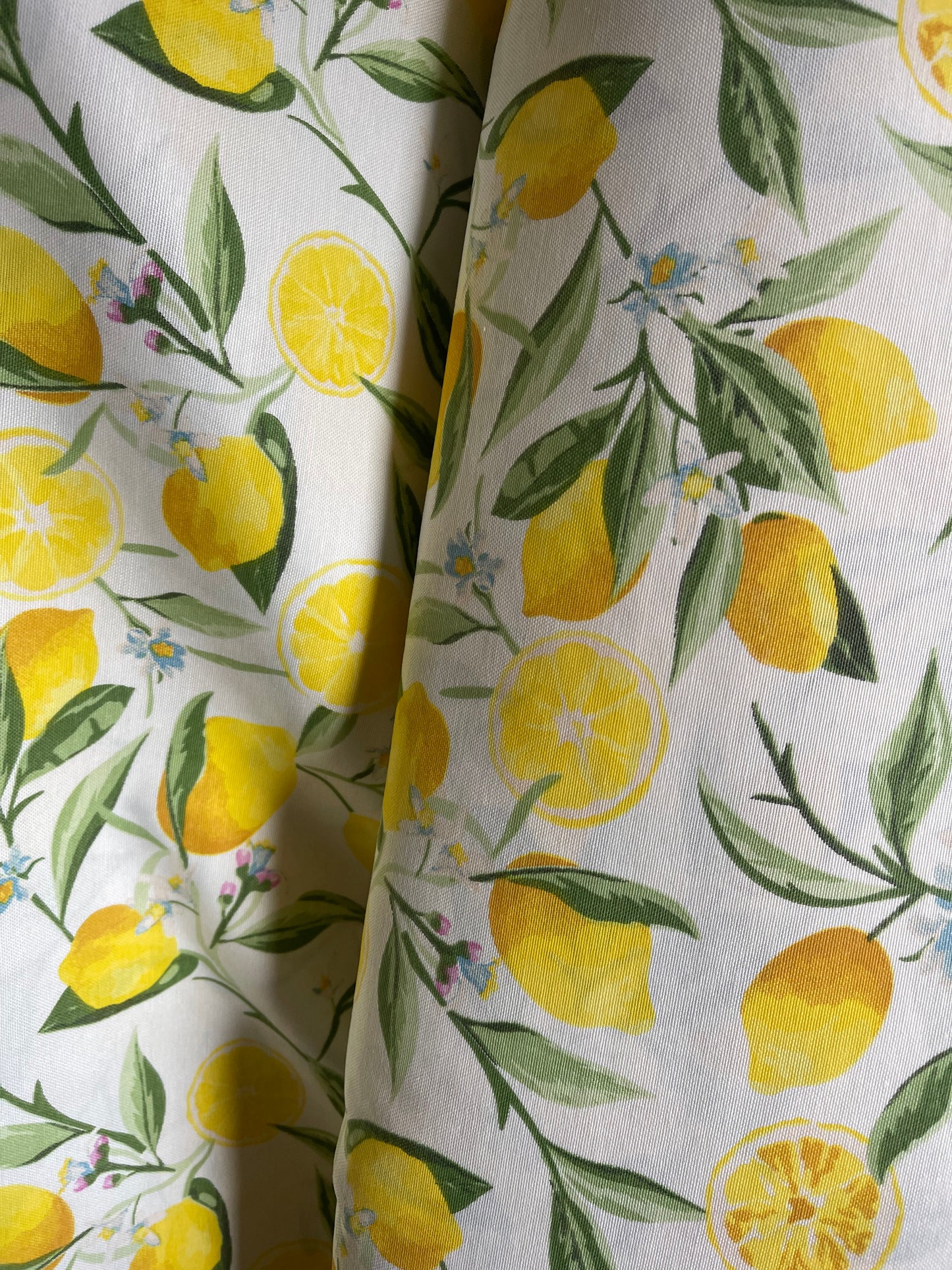 Interior fabric lemons and flowers